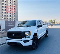 فۆرد F-150